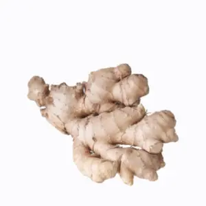 Ginger