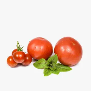 Tomato